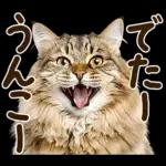 うんこ★リアルな猫