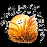大人の挨拶♡秋の毎日♡品よくおしゃれに