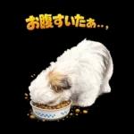 モカのスタンプ　幼少期編