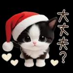 可愛いハチワレ猫 サンタ帽 冬 気づかい