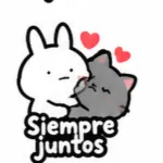 Todo bonito 🌈