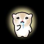 작아요 고먕이