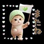 ずっと使える メロン帽が可愛い 猫とウサギ