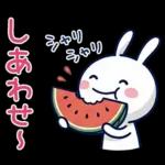 毎日使える夏☆ほぼ白うさぎ