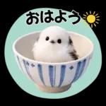 とってもかわいい♡シマエナガちゃん