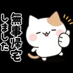 お酒好きなねこさん 7軒目！
