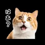 動く！猫の日常2