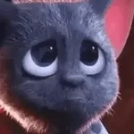 👀👀👀👀👀👀