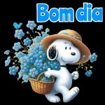 Bom dia 