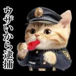 リアル猫警察官