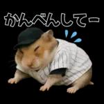 【新】リアル野球ハムスター