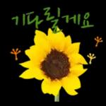 꽃으로 전하는 마음, 감사톡