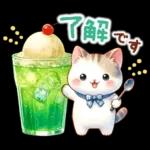猫のつめあわせ【夏】