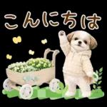 気持ち伝わる癒やしシーズー