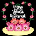가정의 달 꽃 선물