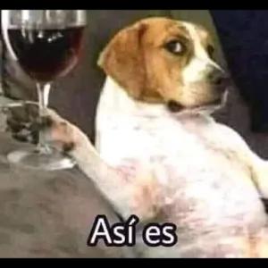 Así es - getsticker.com