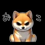 柴犬ワンダフル！！！！！