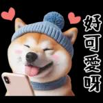 圓柴柴18:祝你有個可愛的一天❤️