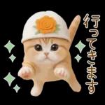 スコティッシュ猫 カラフル帽 夏 敬語