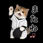 野球をする猫