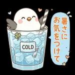 ことりと爽やかな夏