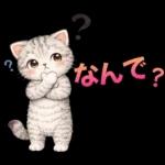 うり坊のもふもふ日常スタンプ