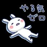 毎日使える夏☆ほぼ白うさぎ