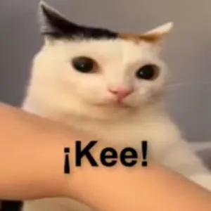 KTokEf
