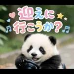 飛び出す♡パンダの家族連絡
