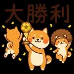 深夜観戦おつかれさま