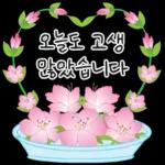 가정의 달 꽃 선물