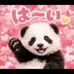 だいすきパンダ