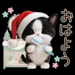 可愛いハチワレ猫 サンタ帽 冬 気づかい