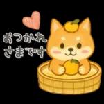 柴犬いっぱい♡豆しば♡秋＆冬