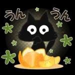 黒ねこの秋・冬便り