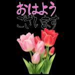 もふ屋画♪チップとデール