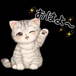 うり坊のもふもふ日常スタンプ