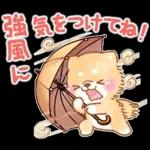 雨、梅雨、夏に使う❤️いやしばいぬ❤️柴犬