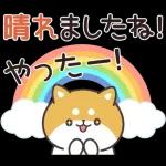 飛びだす！お返事シバイヌくん（雨の日）