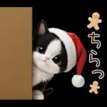 可愛いハチワレ猫 サンタ帽 冬 気づかい