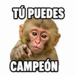 bepwjo
