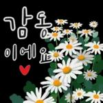 다정한 꽃편지 인사