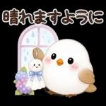 梅雨と夏のやさしい気遣い言葉♡シマエナガ