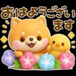 夏にかわいい♡豆柴日和
