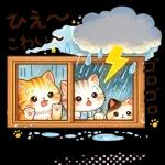 にゃんこたちの梅雨だより