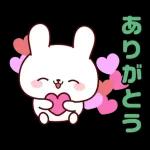 連絡白うさちゃん