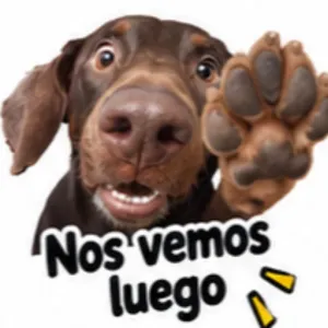 Nos vemos luego - getsticker.com