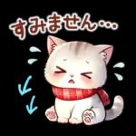 猫のつめあわせ【冬】