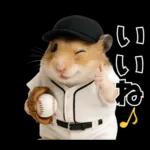 【新】リアル野球ハムスター