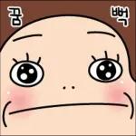 아포이아포이2026 TOP 이동  관심 오여사의 멋진 인생